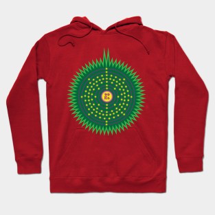 Einsteinium Ornament Hoodie